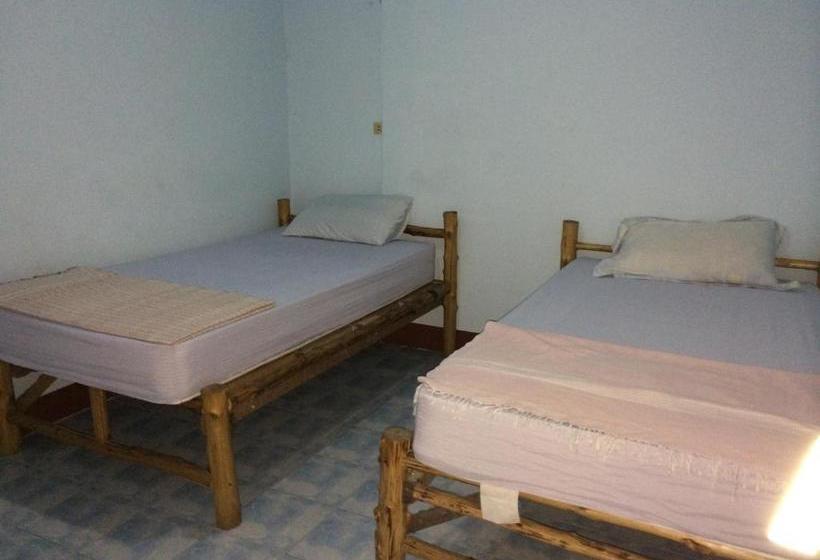 膳宿费 Kiwi Orchid & Pl Guesthouse