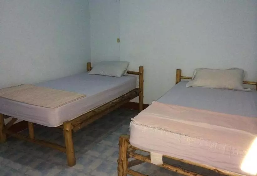 پانسیون Kiwi Orchid & Pl Guesthouse