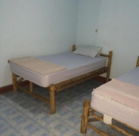 膳宿费 Kiwi Orchid & Pl Guesthouse