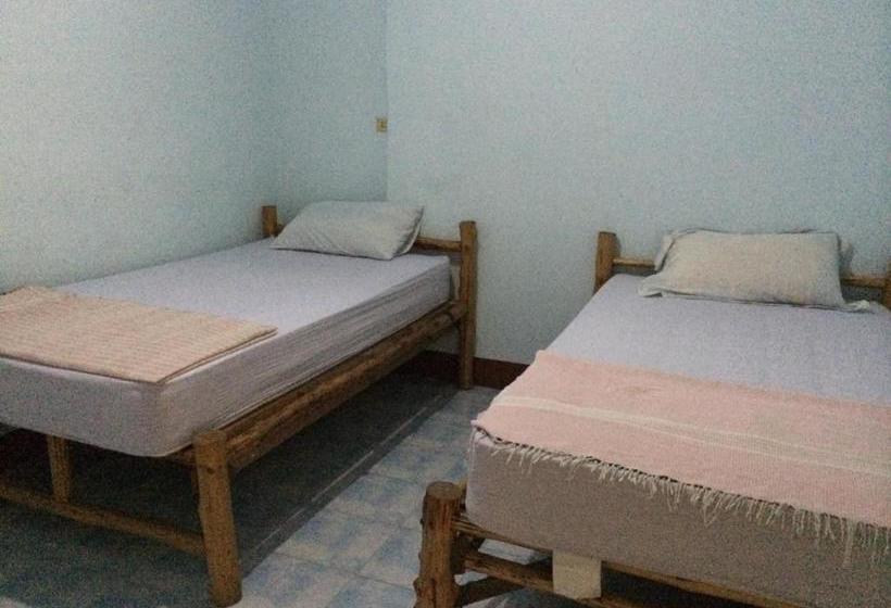 膳宿费 Kiwi Orchid & Pl Guesthouse