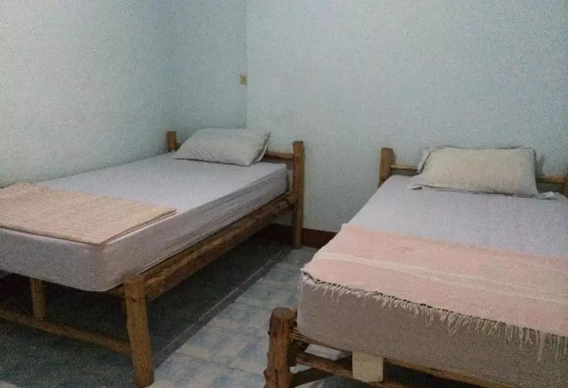 پانسیون Kiwi Orchid & Pl Guesthouse