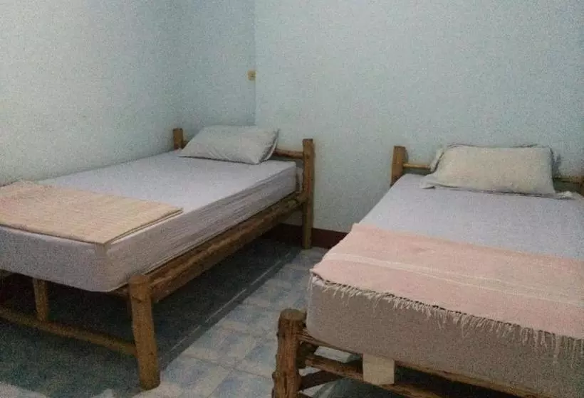 پانسیون Kiwi Orchid & Pl Guesthouse