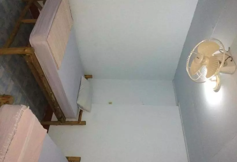 پانسیون Kiwi Orchid & Pl Guesthouse