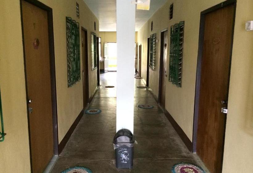 膳宿费 Kiwi Orchid & Pl Guesthouse