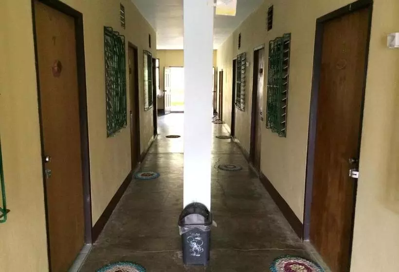 پانسیون Kiwi Orchid & Pl Guesthouse