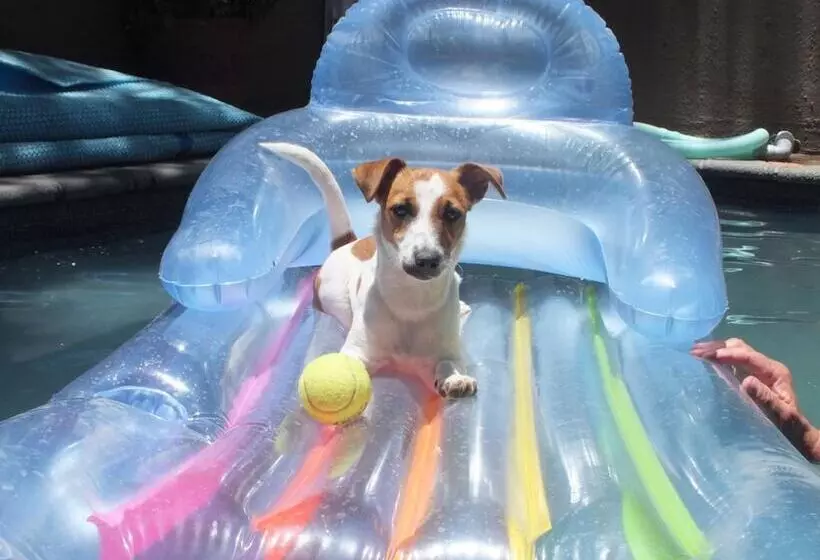 پانسیون Uzuri Guesthouse Cc