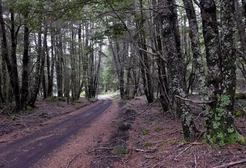 ペンション Refugio Montaña Kultrun Mawida, Mini Cabaña Con Baño Y Cocina Privada