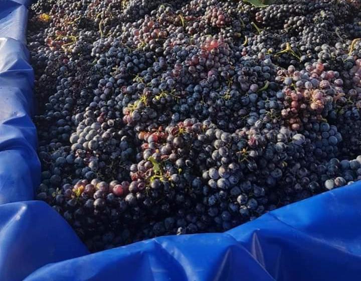 호텔 Masseria Sucéa