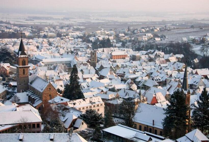 펜션 Domaine Jean Sipp