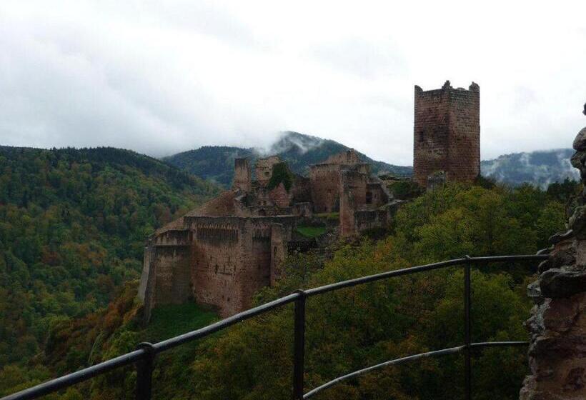 펜션 Domaine Jean Sipp