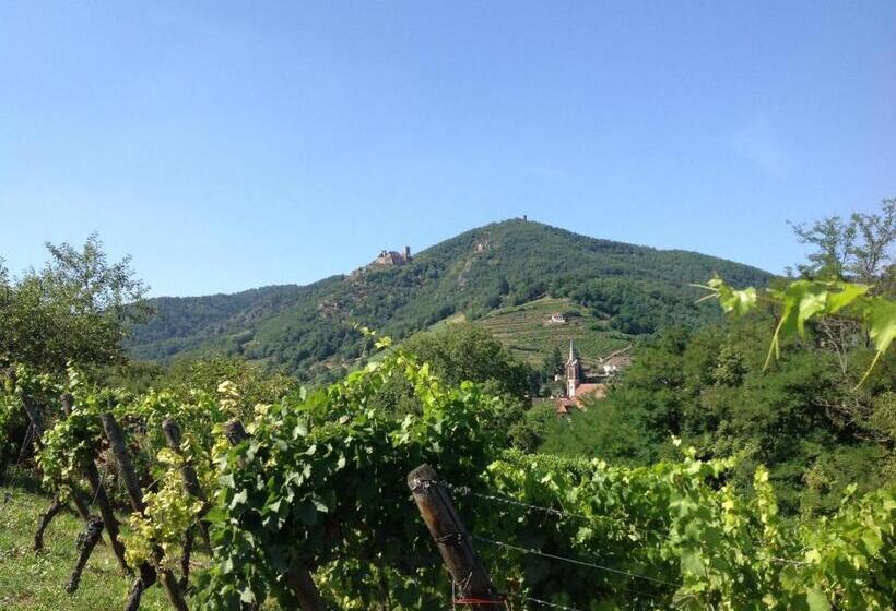 펜션 Domaine Jean Sipp