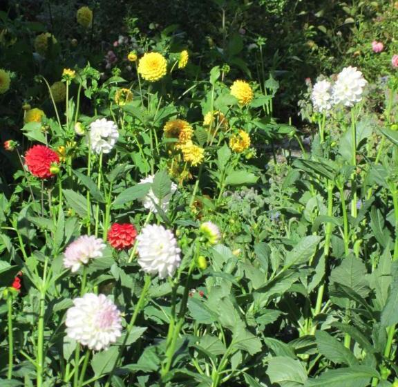 Pensionat Gasthaus Kreuz