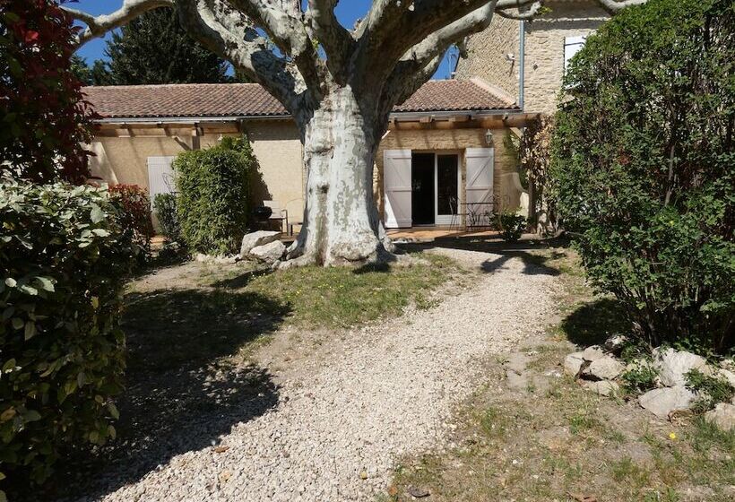 پانسیون Mas Seraphin