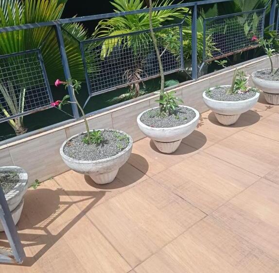 פנסיון Pousada Miosotis