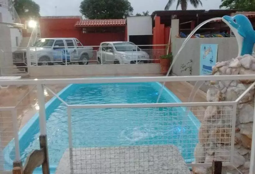 ペンション Pousada Miosotis