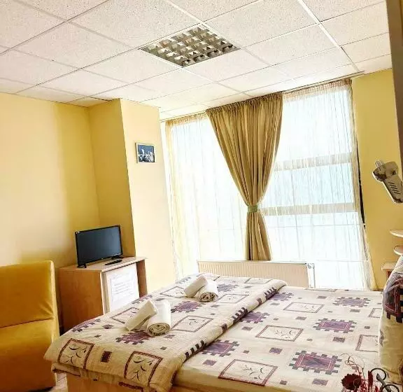 Pension Villa Andreea
