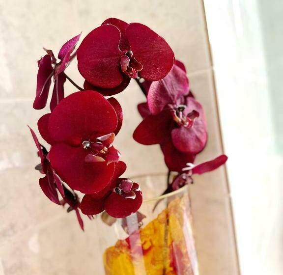 پانسیون Villa Andreea