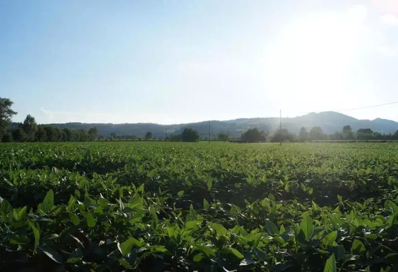هتل Agriturismo Alla Corte