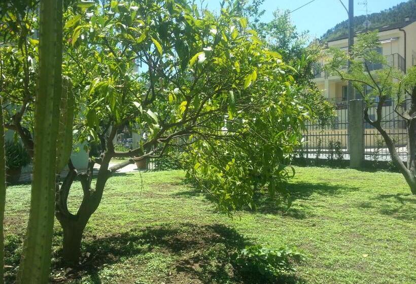 호텔 Agriturismo Fioredizucca