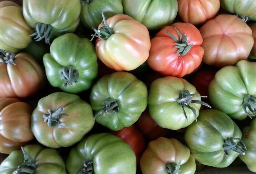 호텔 Agriturismo Fioredizucca