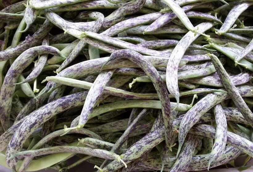 هتل Agriturismo Fioredizucca