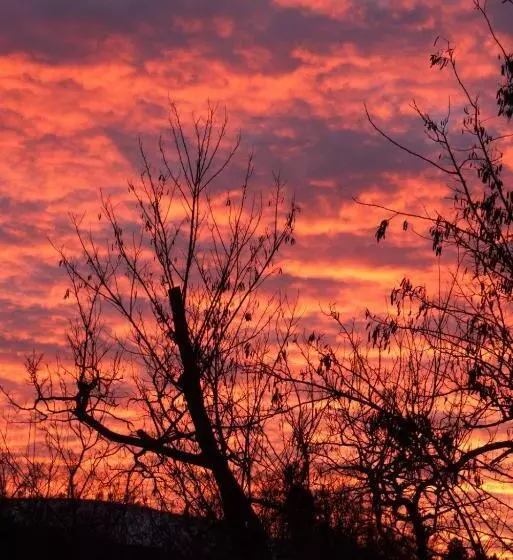 Hotelli Agriturismo Mirasole