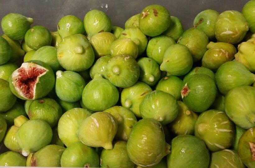 Hotel Agriturismo Mirasole