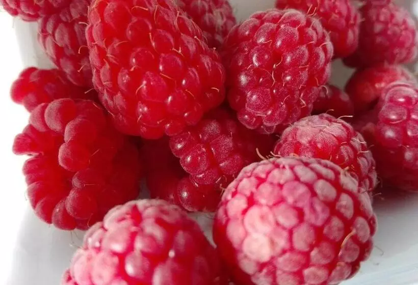 Hotelli Agriturismo Mirasole