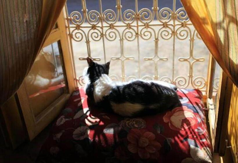 ペンション Auberge Chez Julia