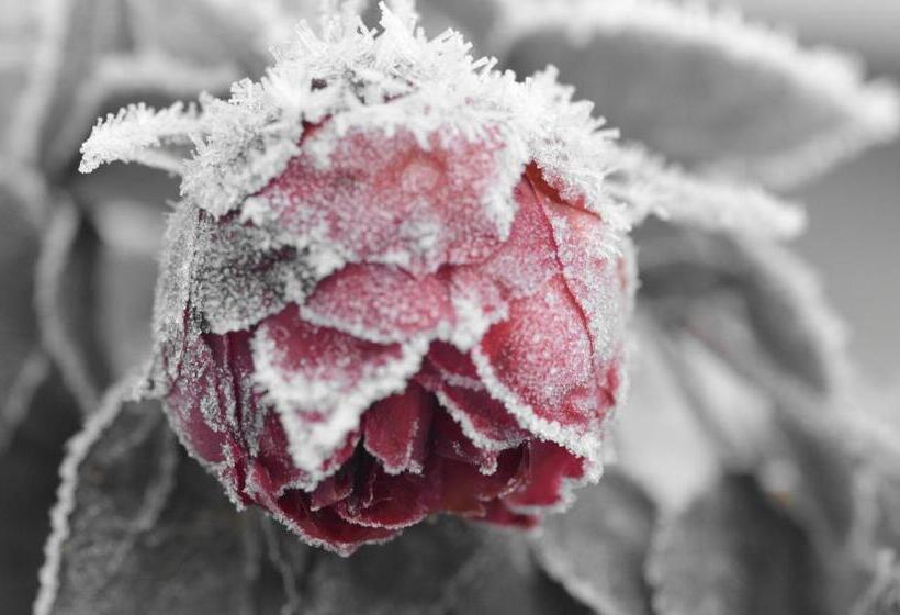 펜션 Ewich House B&b