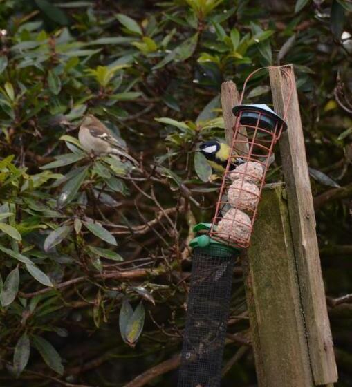 펜션 Ewich House B&b