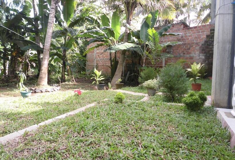 펜션 Extremehost Guest House