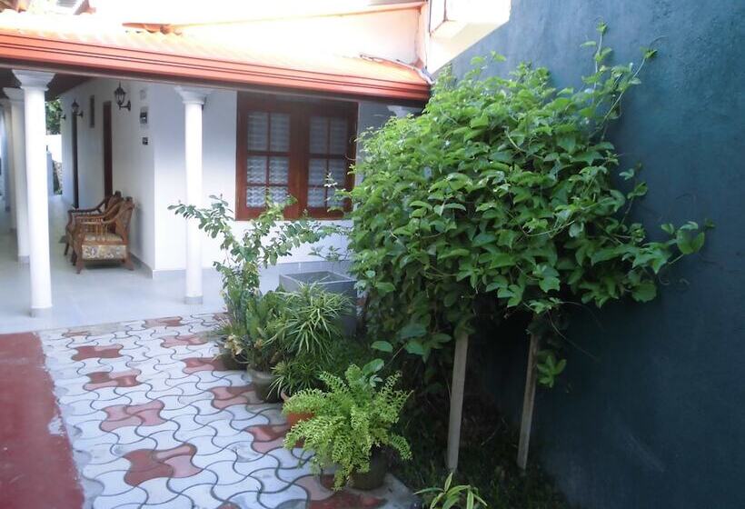 펜션 Extremehost Guest House