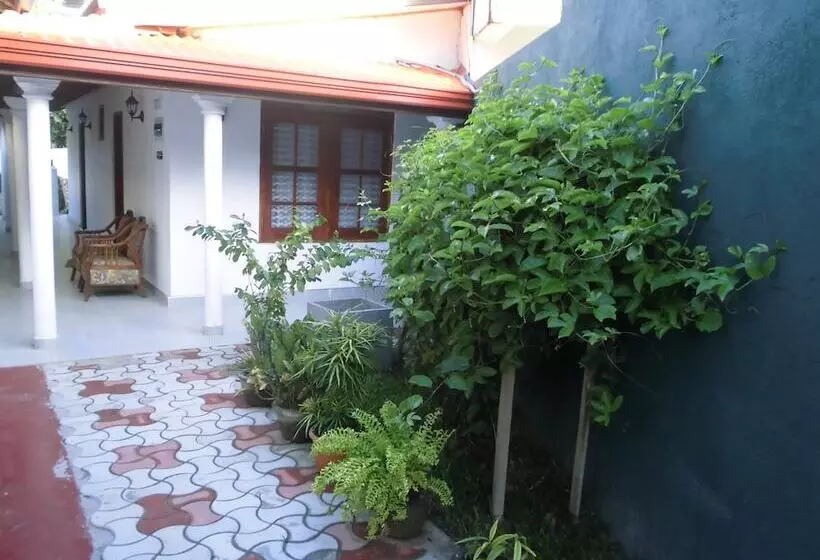 ペンション Extremehost Guest House