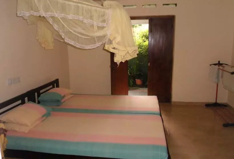 ペンション Extremehost Guest House