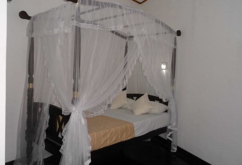 펜션 Extremehost Guest House