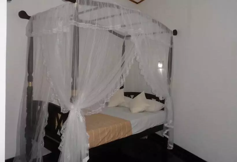 ペンション Extremehost Guest House
