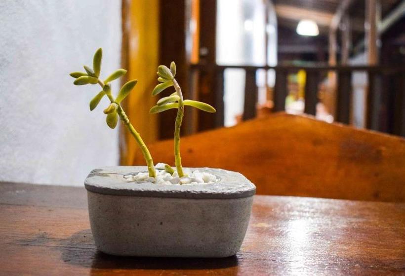 بنسيون Pousada Do Enildo