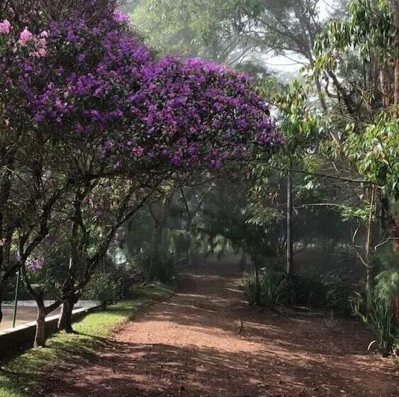 هاستل Pousada Lambari Montanha