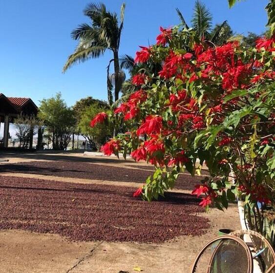 旅馆 Pousada Lambari Montanha