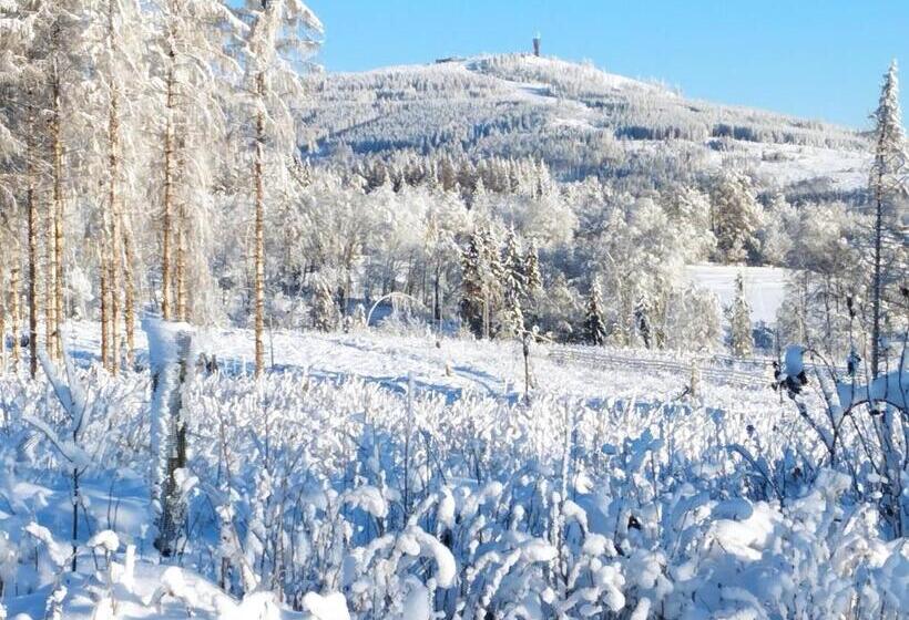 Harzpension Haus Königskopf