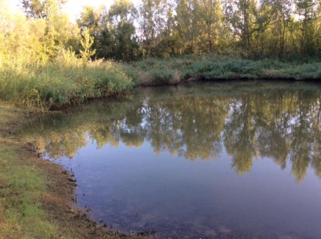 酒店 Agriturismo La Quercia Gentile
