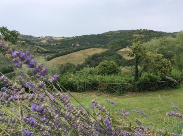 酒店 Agriturismo La Quercia Gentile