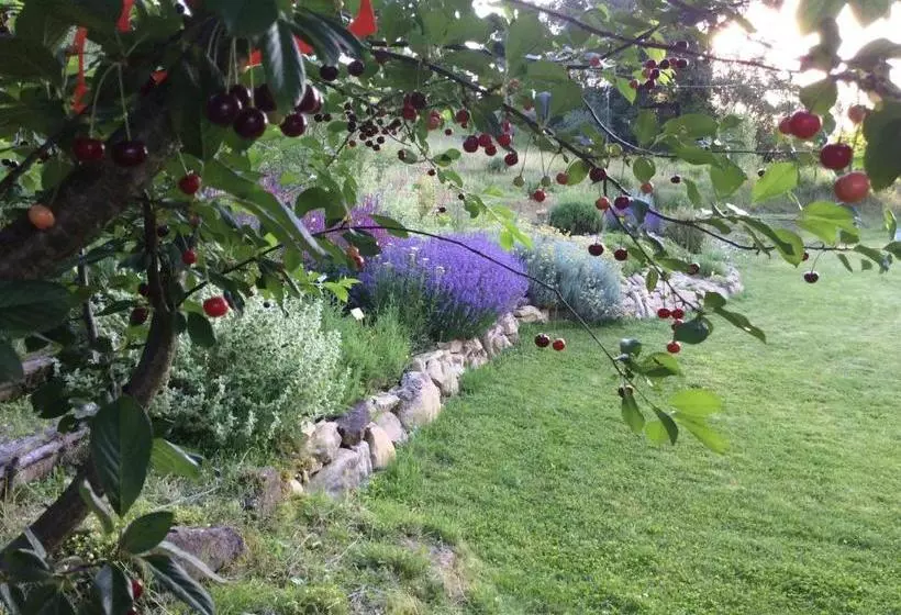 ホテル Agriturismo La Quercia Gentile