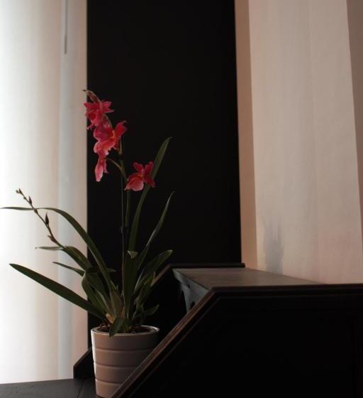 פנסיון Affittacamere Parco Dei Canapè