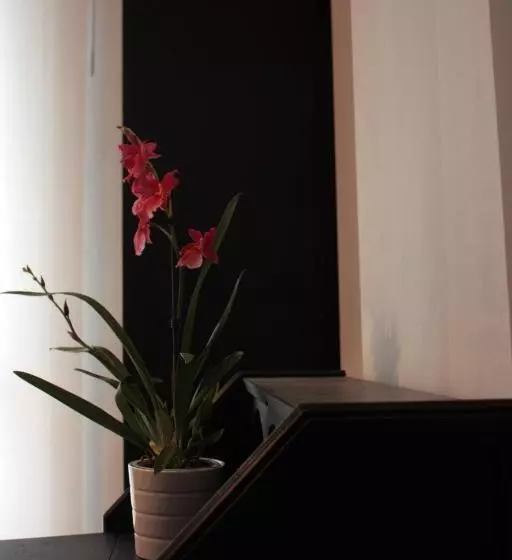 Majatalo Affittacamere Parco Dei Canapè