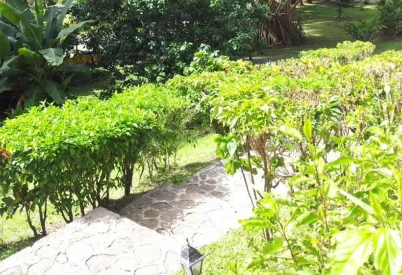 پانسیون Chez Ophelia Cottage Apartments