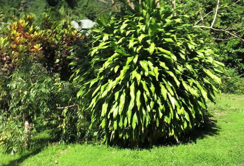 پانسیون Chez Ophelia Cottage Apartments