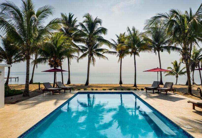 بنسيون Coconut Row Boutique