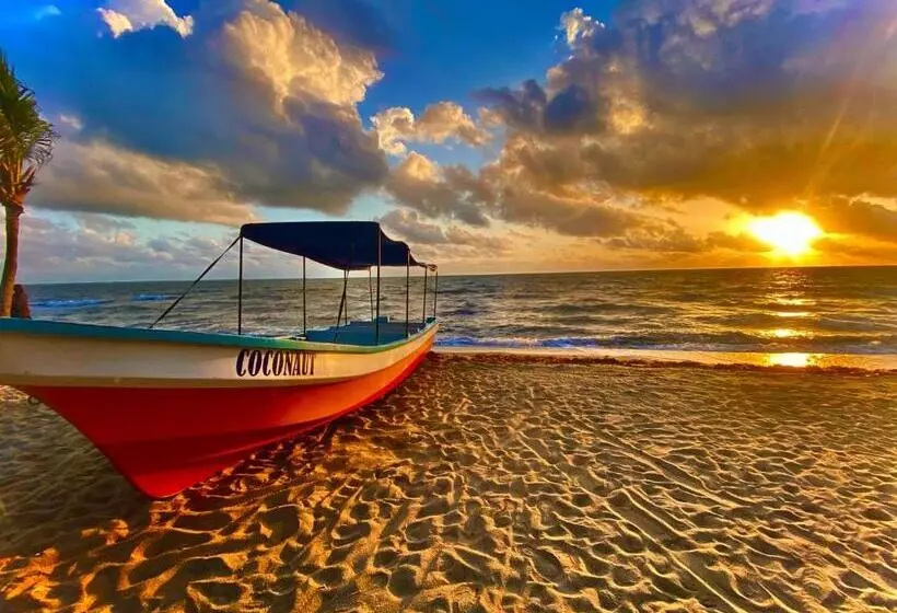 Majatalo Coconut Row Boutique